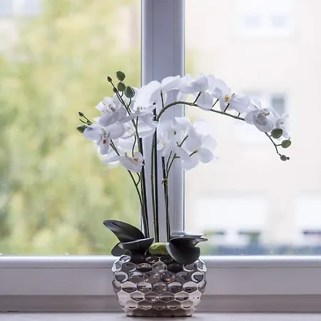 Executive Double With En-suite Centre In R1